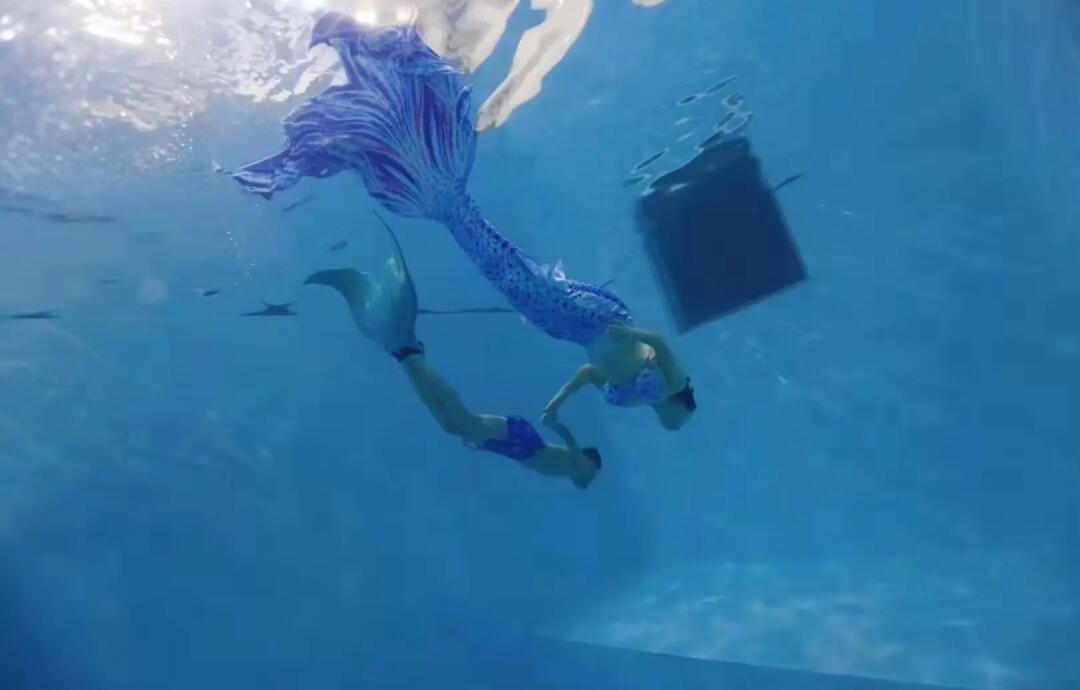 海洋生态潜水大赛，深海奇观尽收眼底的简单介绍