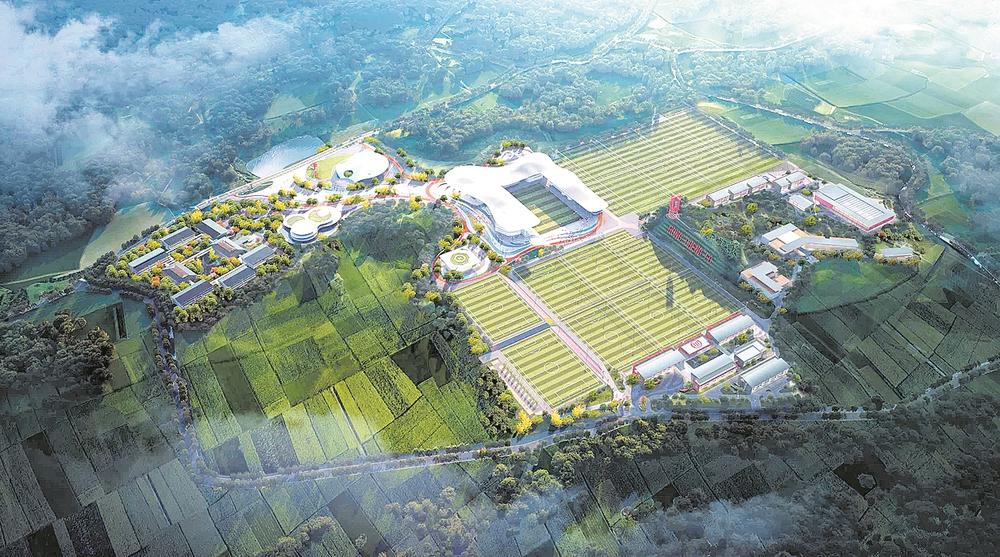乐鱼体育平台官网-特色足球主题公园在部分城市试点，推动文化体育结合深度发展的简单介绍