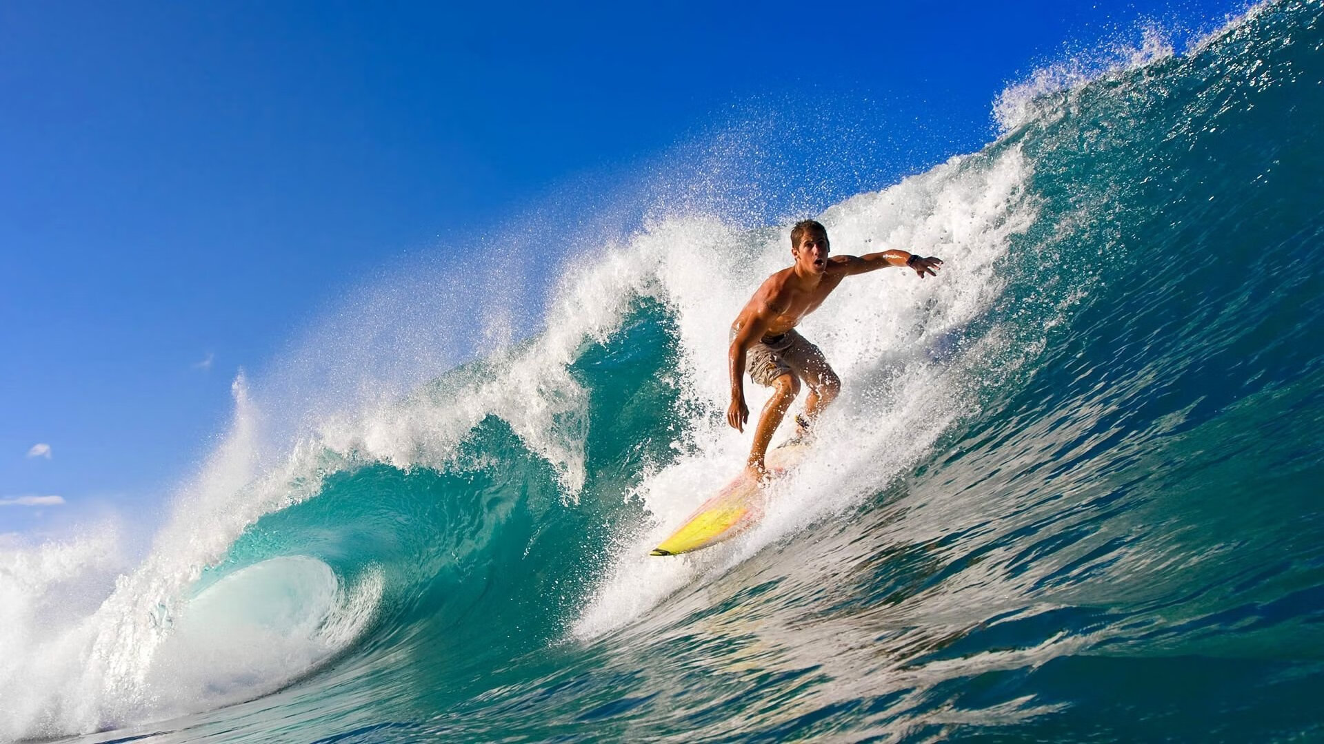 APP下载 LY Sports-印度羽毛球男子双打组合击败韩国队，夺得金牌。，印度羽毛球女子单打选手